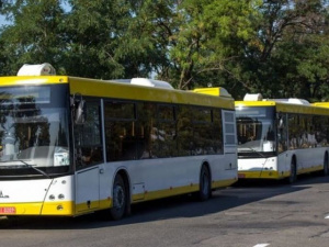 Коммунальный или частный перевозчик: кто останется в бизнесе при новой транспортной системе в Мариуполе?