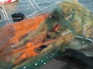 В Азовском море вблизи Мариуполя браконьеры растянули три километра сети (ФОТО)