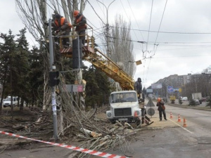 Не допустить несанкционированную рубку и обрезку деревьев: мэр Мариуполя издал распоряжение