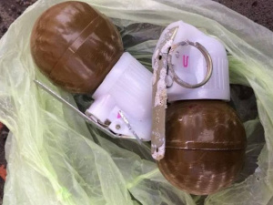 На Донбассе пограничники поймали в лесополосе  мужчину с гранатами за пазухой (ФОТО)