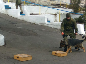 В кинологическом центре Мариуполя протестировали прибывших на службу в Донецкую область собак (ФОТО)