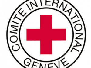 Красный Крест предлагает  создать 