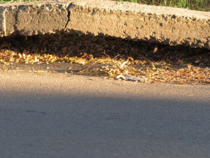 В Мариуполе жара рвет бетон на дорогах города (ФОТОФАКТ)