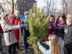 Во дворе мариупольской школы металлурги высадили хвойные деревья (ФОТО)