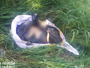 Голова найдена: в Мариуполе продолжают находить фрагменты тела расчлененного трупа