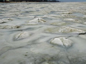 Возле ледяного моря попрощались с зимой около двух тысяч мариупольцев