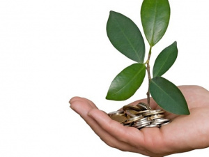 Мариуполь будет привлекать экокредиты для реализации природоохранных и экологических проектов