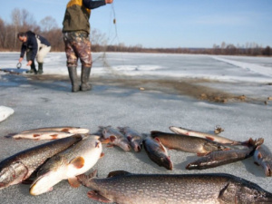 Мариупольская рыбинспекция изъяла у браконьеров улов на 133 тыс. грн