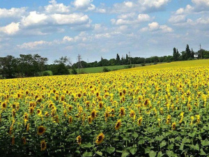 Мариупольское предприятие пренебрегло пожарной безопасностью (ФОТО)