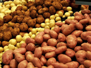 В Україні дорожчає картопля – якими будуть ціни надалі