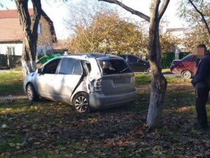 В Мариуполе пьяный водитель врезался в дерево (ФОТО)