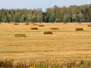 На Донетчине аграрный лицей незаконно передал землю в частную собственность