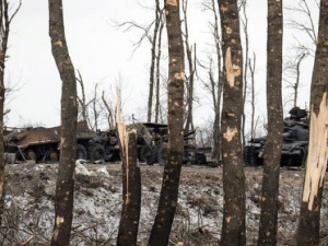 На восстановление лесов, уничтоженных боевыми действиями на Донбассе, понадобится 15 лет  