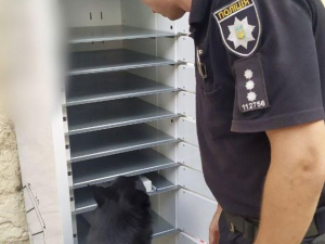 Служебная собака нашла подозрительный пакет в почтомате в центре Мариуполя