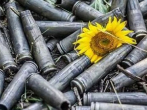 Тишина на Донбассе: за сутки не прозвучало ни одного выстрела