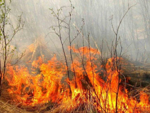 Жителей Донецкой области предупреждают о пожарной опасности