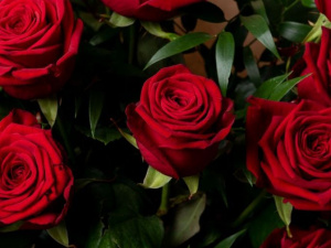 Краденые розы для мамы: в центре Мариуполя поймали цветочного вора (ФОТО)