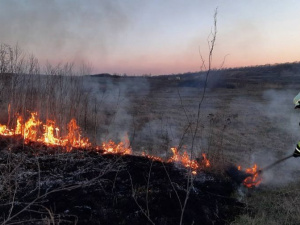 На Донетчине объявили чрезвычайный уровень пожарной опасности