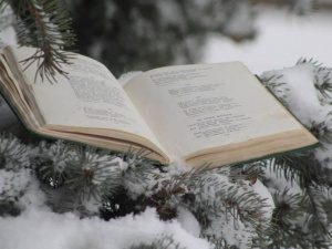 Мариупольцы устроили зимние чтения поэзии и фотоохоту за снежными пейзажами (ФОТО)