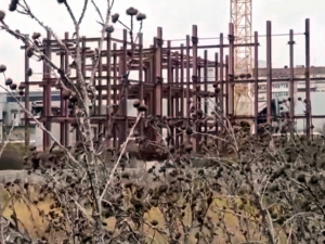 "Оновлений" Маріуполь - бур'ян, зруйновані будинки та прапор окупантів