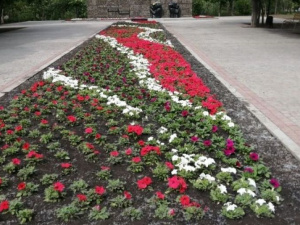 На обновленной аллее Мариуполя высадили 3,5 тысячи цветов (ФОТО)