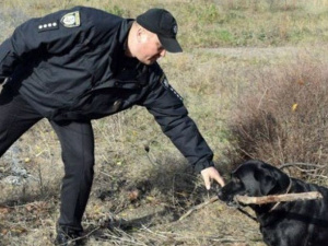 Пес-полицейский из Мариуполя помогает создавать новый кинологический центр (ФОТО)