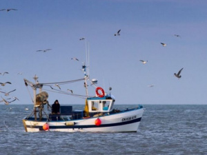 ФСБ задержала в Азовском море рыбаков с оккупированного Приазовья