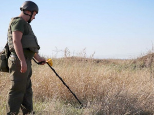 Группа разминирования в Донбассе за месяц уничтожила более 100 боеприпасов (ФОТО)