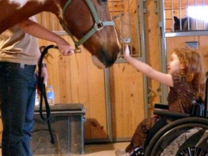 Под Мариуполем детей с инвалидностью реабилитируют лошади