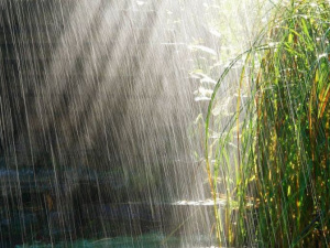 Мариупольцев ждет неделя дождей и сильного ветра