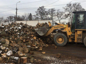 В Мариуполе нелегал-«лесоруб» уничтожал зеленые насаждения (ФОТО)