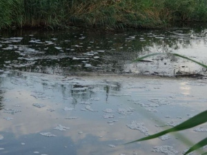 В Мариуполе ищут виновных в «умерщвлении» реки – открыто уголовное производство