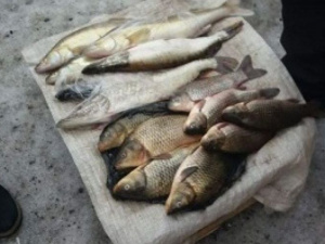 В Донецкой области за месяц браконьеры наловили рыбы на 12 тысяч гривен (ФОТО)