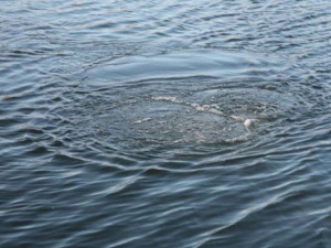 На Донетчине в водоемах утонули два человека