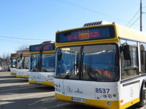 В Мариуполе новые автобусные маршруты появились на карте онлайн движения транспорта
