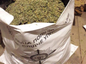 Житель прифронтового поселка на Донетчине заготовил около 10 килограмм марихуаны (ФОТО)