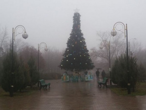 Жители Приморского района Мариуполя уже могут полюбоваться новогодней елкой (ФОТОФАКТ)