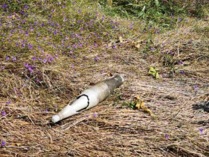 В мариупольском районе обнаружили гранату: на месте работали спасатели