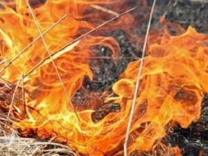 В Мариуполе за сутки выгорело около 78 тыс. кв. м территорий и электроподстанция (ФОТО)