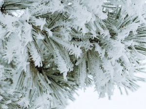 Кутья под корочкой льда: в Мариуполе ожидается снежный Сочельник с морозом до -11°C