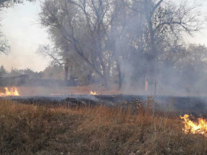 За сутки на Донетчине потушили 70 пожаров: огонь едва не перекинулся на 30 домов и школу