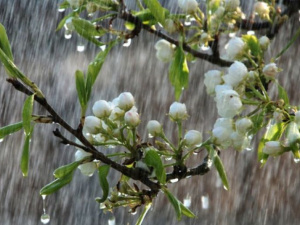 В Мариуполе потепление сопроводят дожди с грозами
