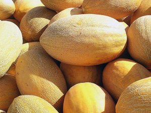 На мариупольских рынках с реализации сняты дыни с нитратами
