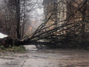 Штормовой ветер в Мариуполе ломал деревья, рвал троллеи и рушил балконы