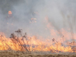 Не жги траву: жителей Донетчины предупреждают о пожарной опасности
