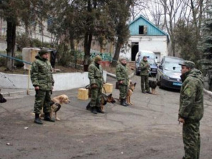 Спасать Донбасс от взрывчатки будут четвероногие полицейские (ФОТО)