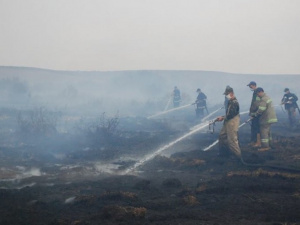 Спасатели Донетчины за сутки потушили более 37 га сухой травы 