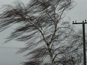 Спасатели предупреждают: в Мариуполе и области - штормовой ветер