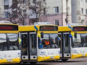 Мариуполь приобретет более 60 автобусов (ФОТО)