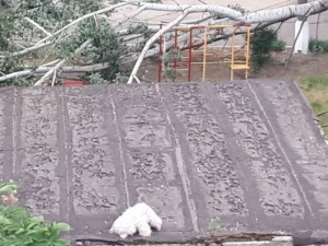 На игровую площадку мариупольского детсада рухнуло дерево (ФОТОФАКТ)
